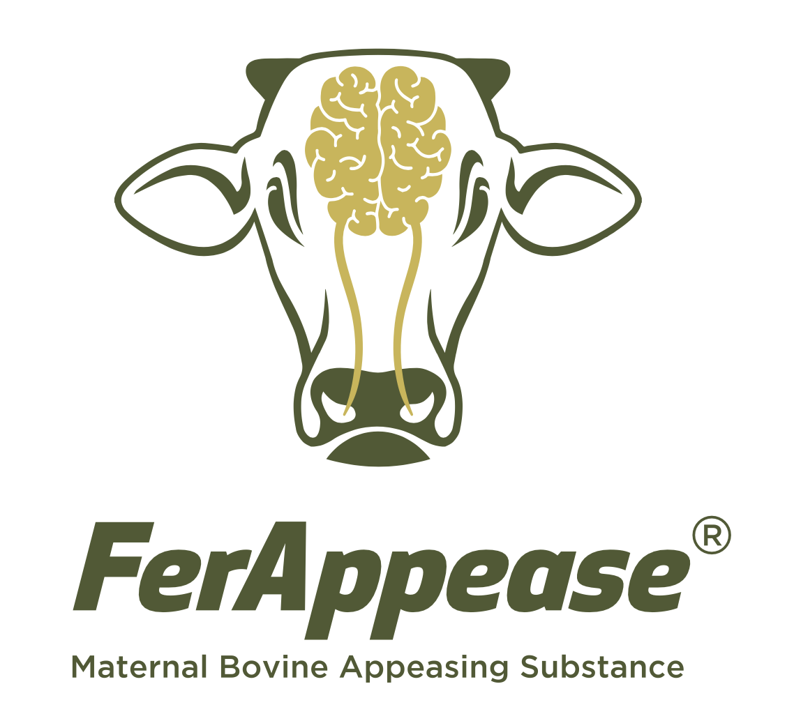 Logo: cow silhouette with brain graphic and the name