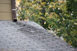 Damaged asphalt shingle roof with a brown gutter, trees in the blurry background.