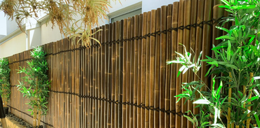 A brown bamboo fence stands in front of a white wall, flanked by green bamboo plants on either side.