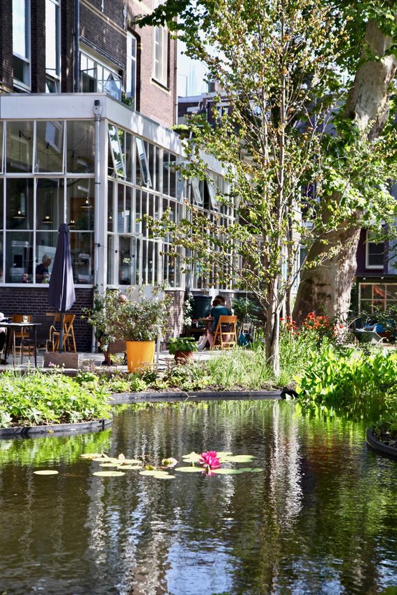 De Tuin van de Koning Liskwartier Rotterdam