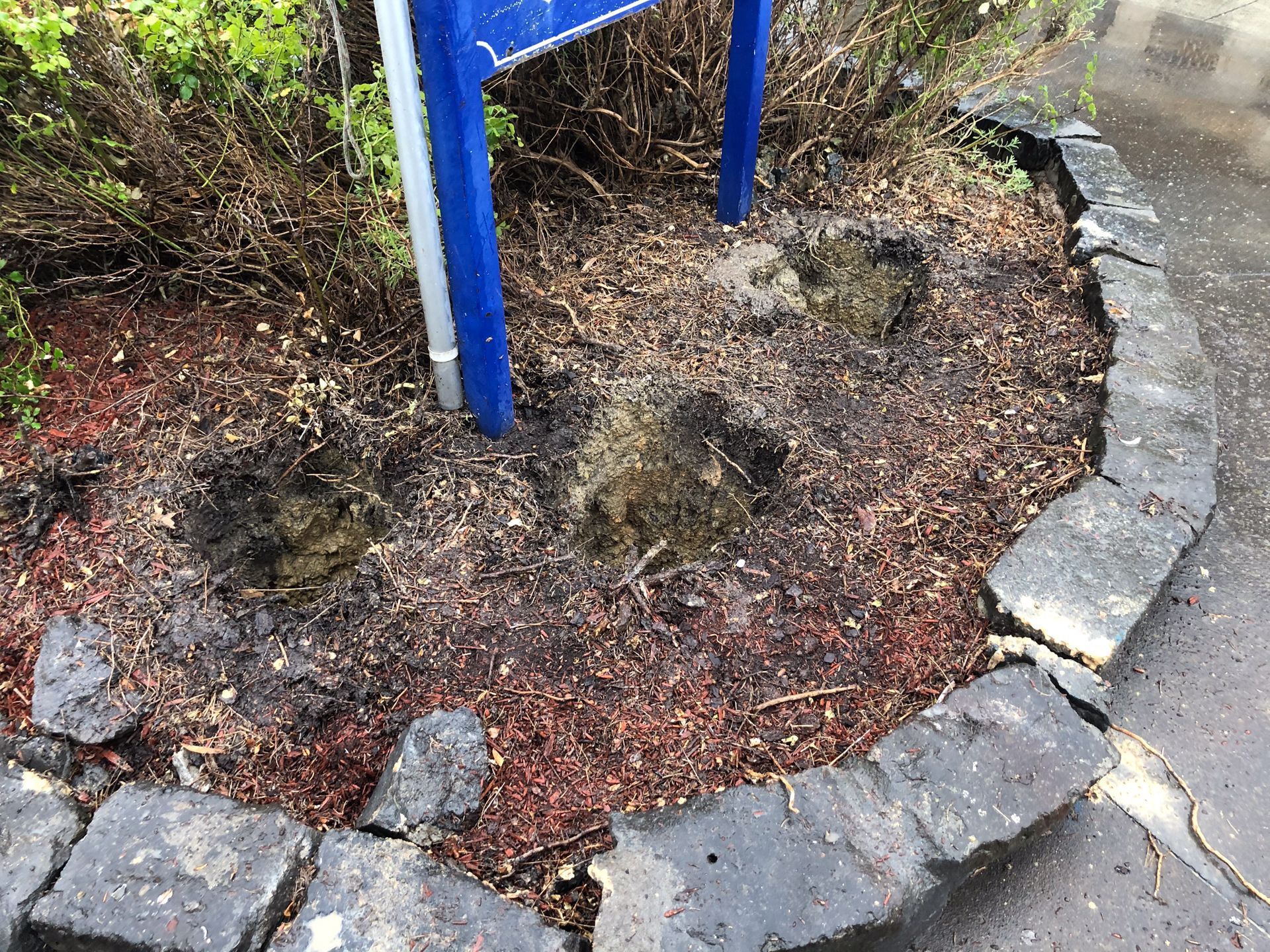 Post hole excavation