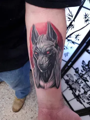 A man has a tattoo of an anubis on his forearm