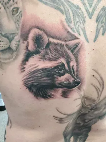 A man has a raccoon tattoo on his back.