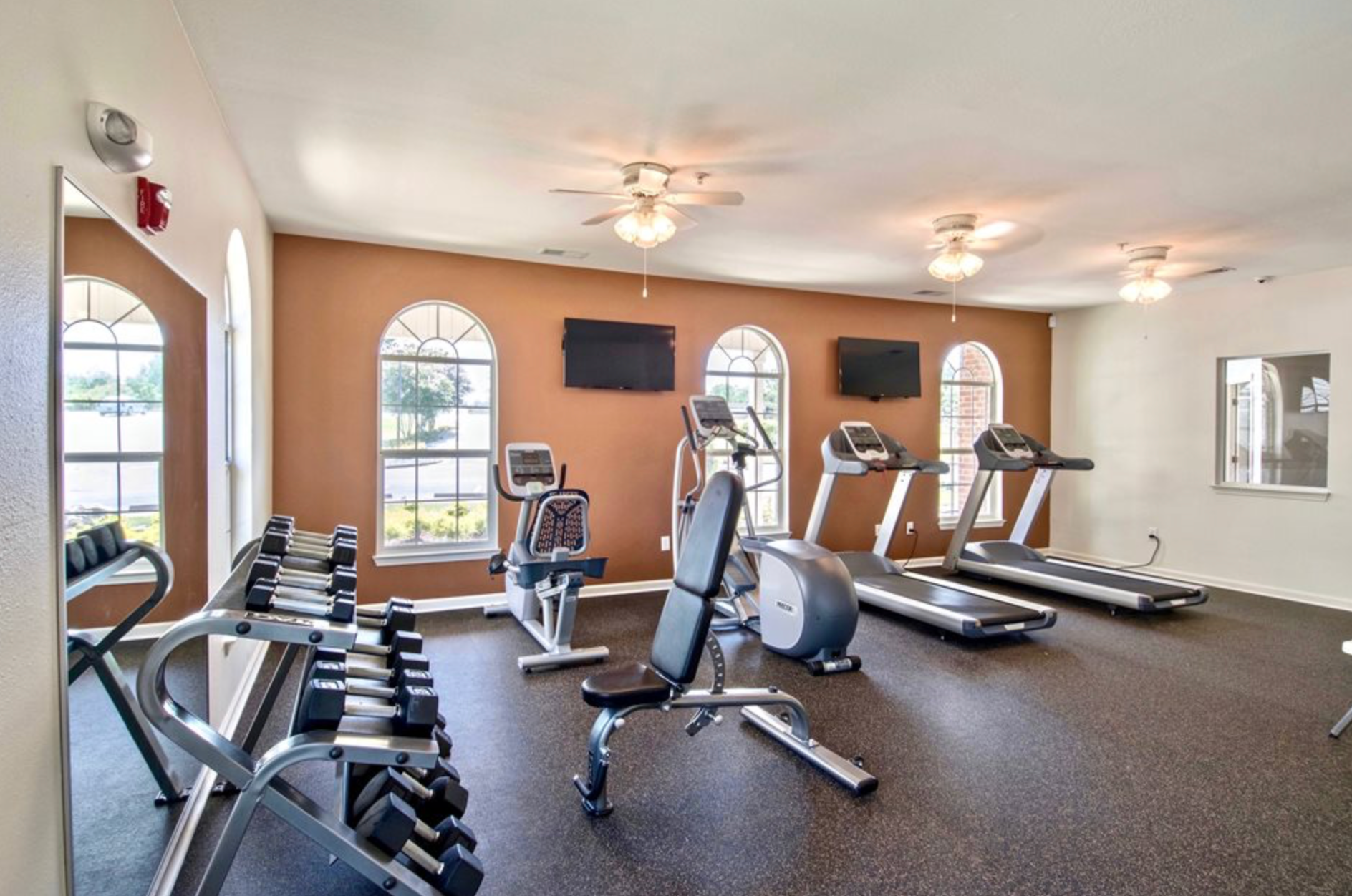 A gym with treadmills , dumbbells , and a bench.