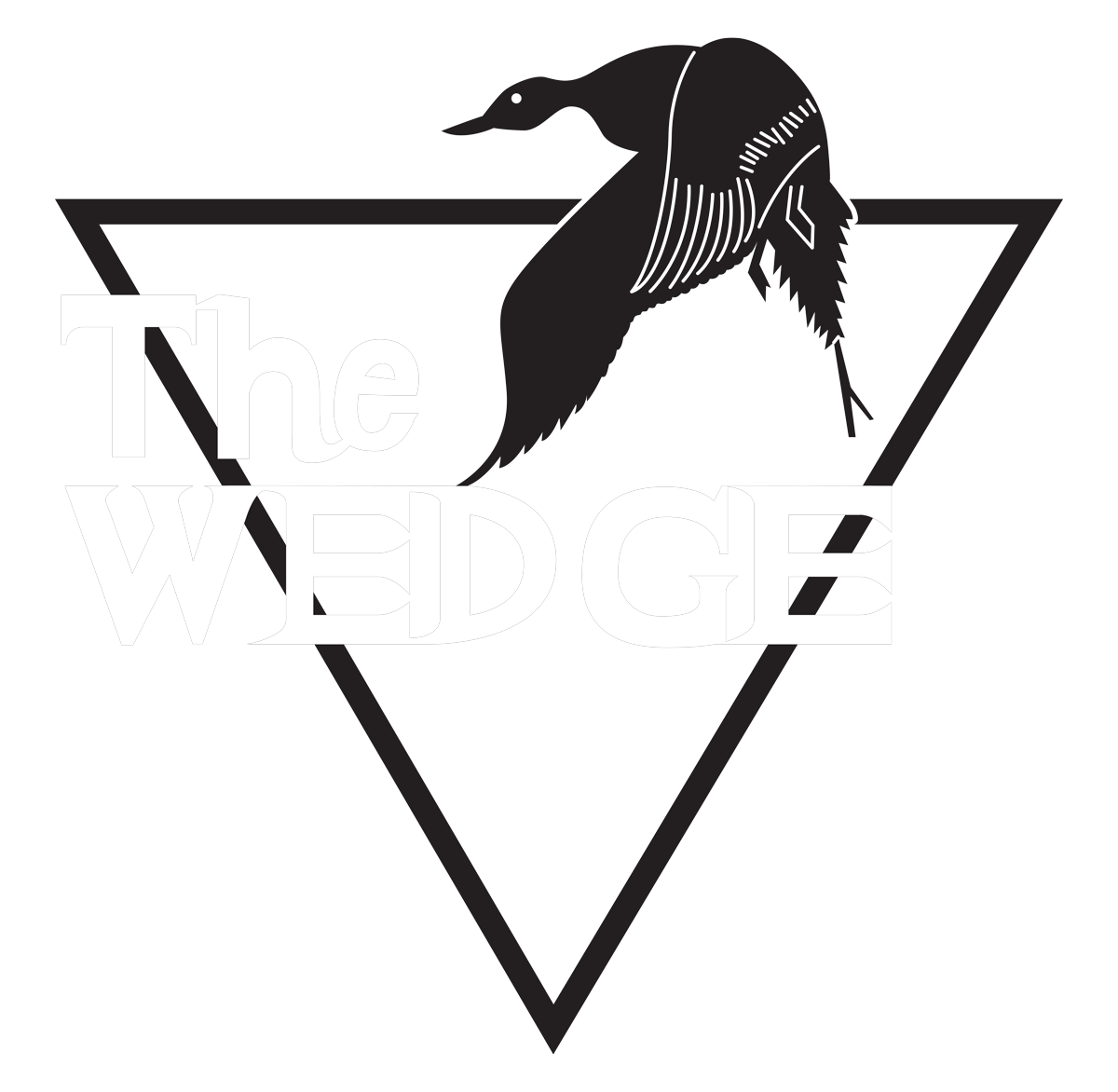 A black and white duck is flying in a triangle.