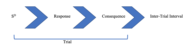 What Is Discrete Trial Teaching 