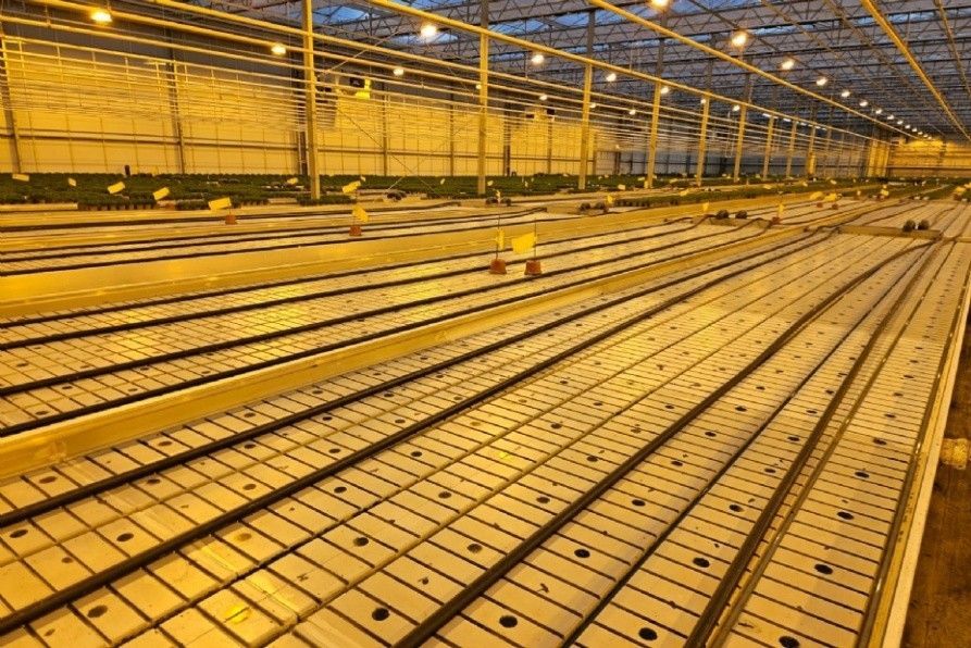 Foto van een gepatenteerd borstelsysteem dat een kweektafel reinigt.