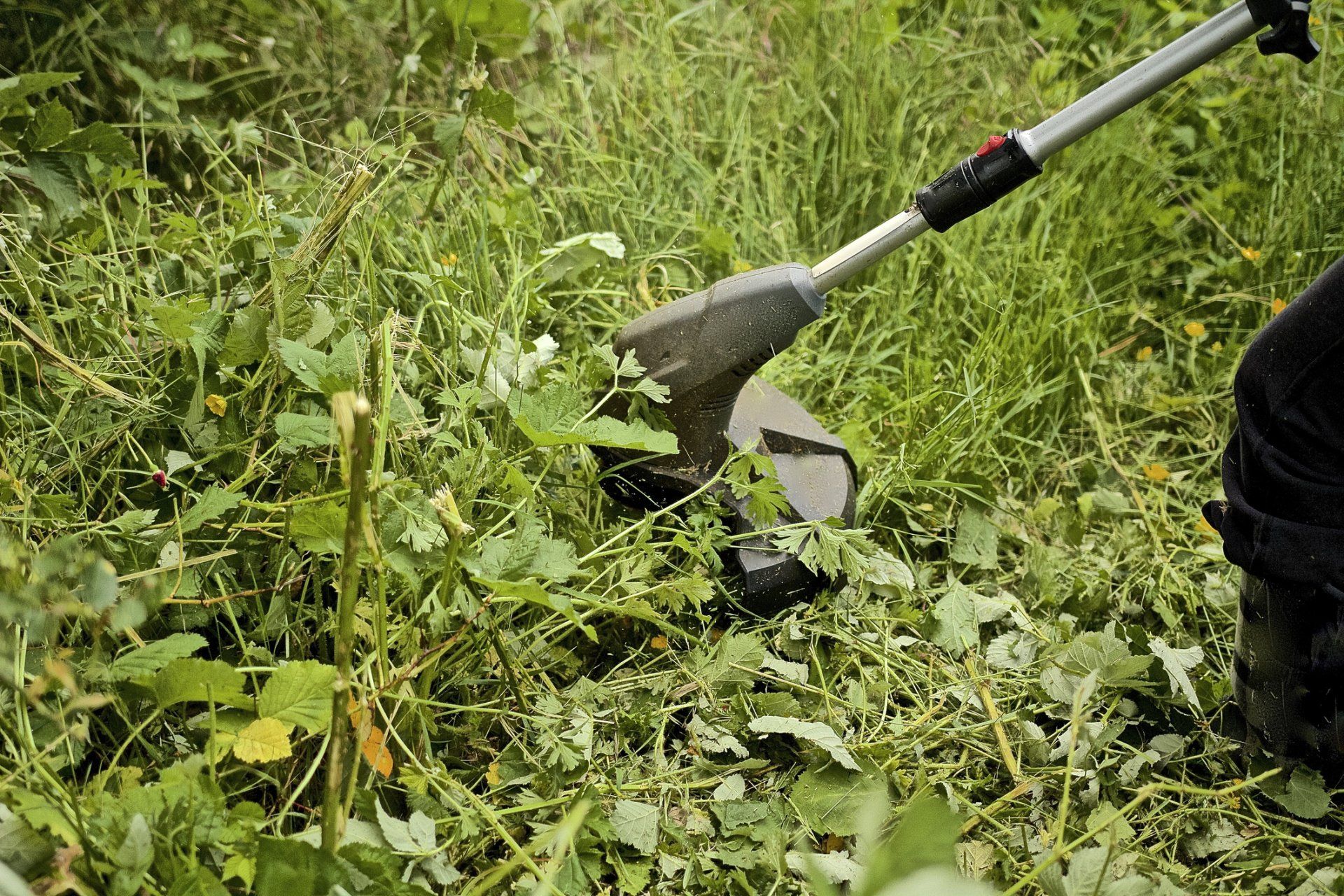 Man Removing Weeds on the Lawn — Thibodaux, LA — Beyond Blessed Lawn Care and Home Maintenance, LLC
