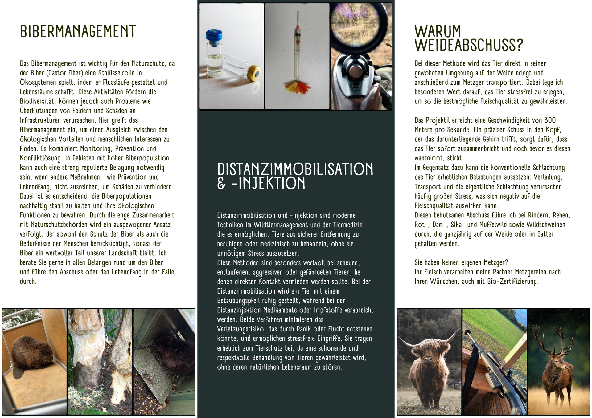 Weide, Wild & Co. - Stressfrei und aus Liebe zum Tier