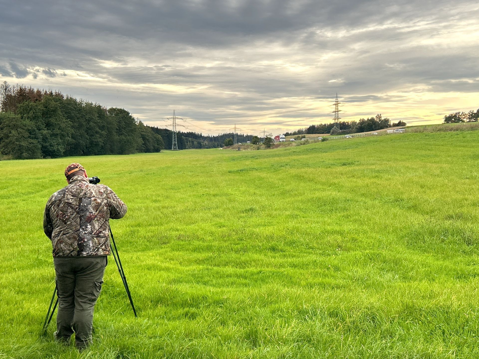 Weide, Wild & Co. - Stressfrei und aus Liebe zum Tier