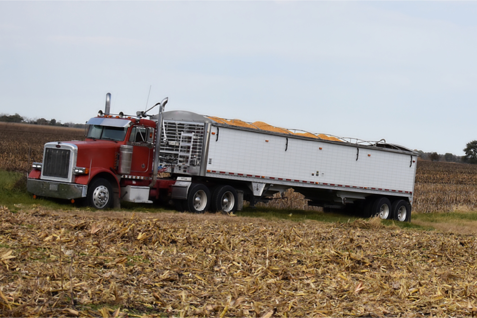 A red semi truck is pulling a white trailer in a field.