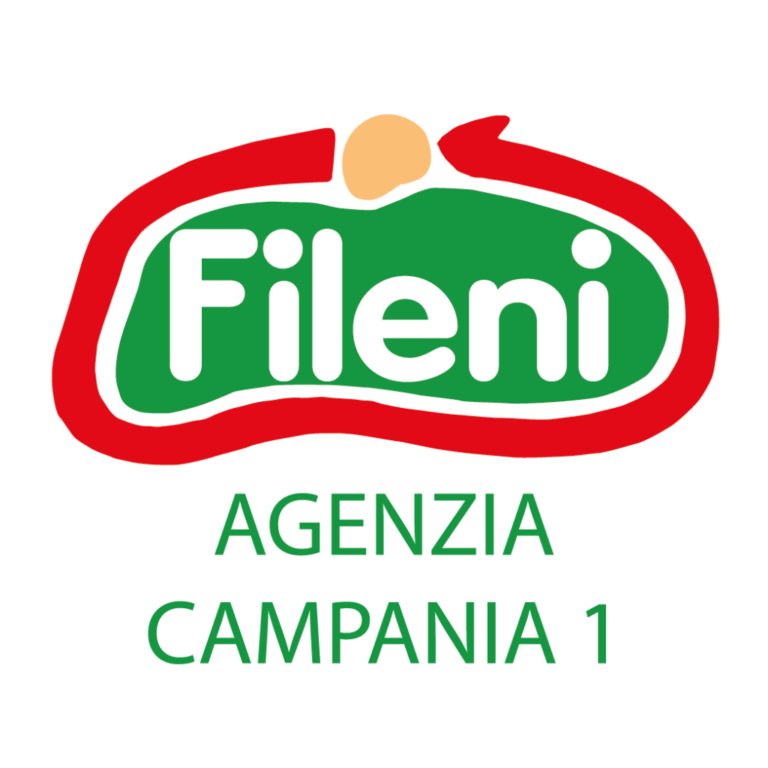 Fileni agenzia campania 1 logo on a white background