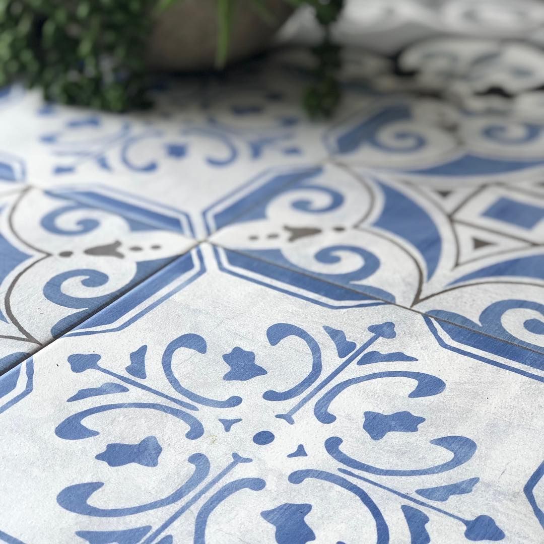 A Blue and White Tile Floor With a Plant in the Background — Dean Gray Tiling in Burleigh, QLD