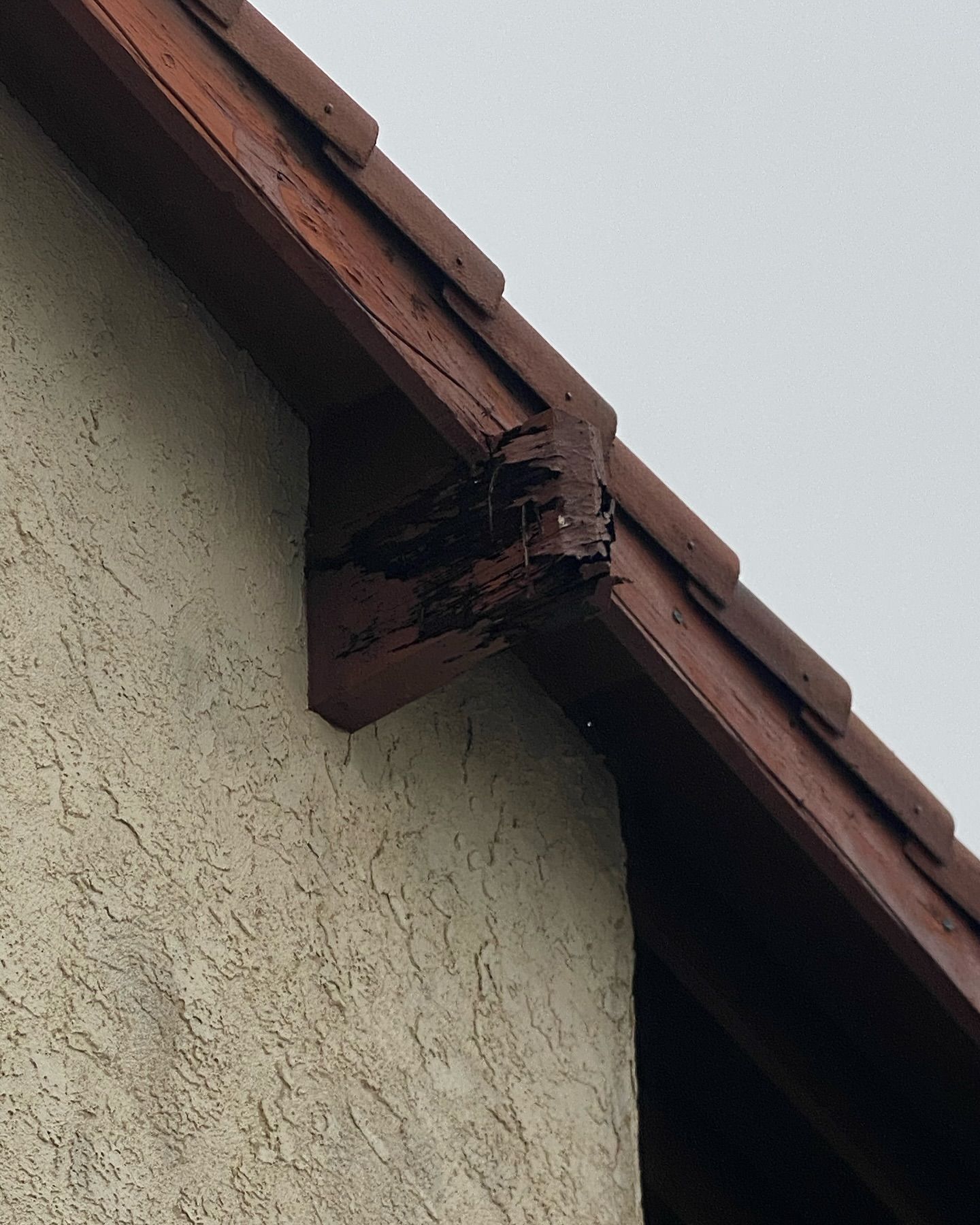 Damaged wooden fascia and eave corner on a stucco-walled building, with dark brown paint and a gray sky background.