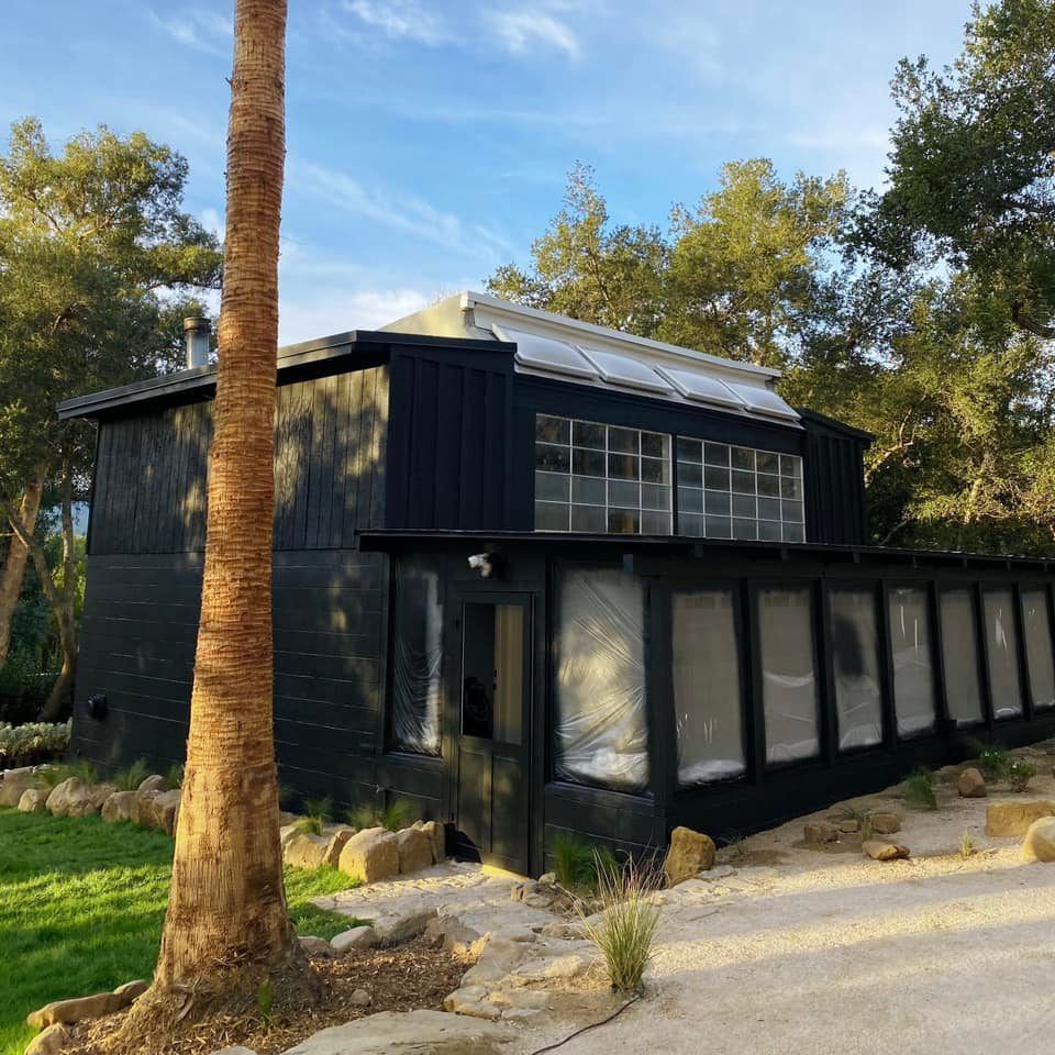 Black modern house with glass windows, set in a yard with trees, and a palm tree in the foreground.