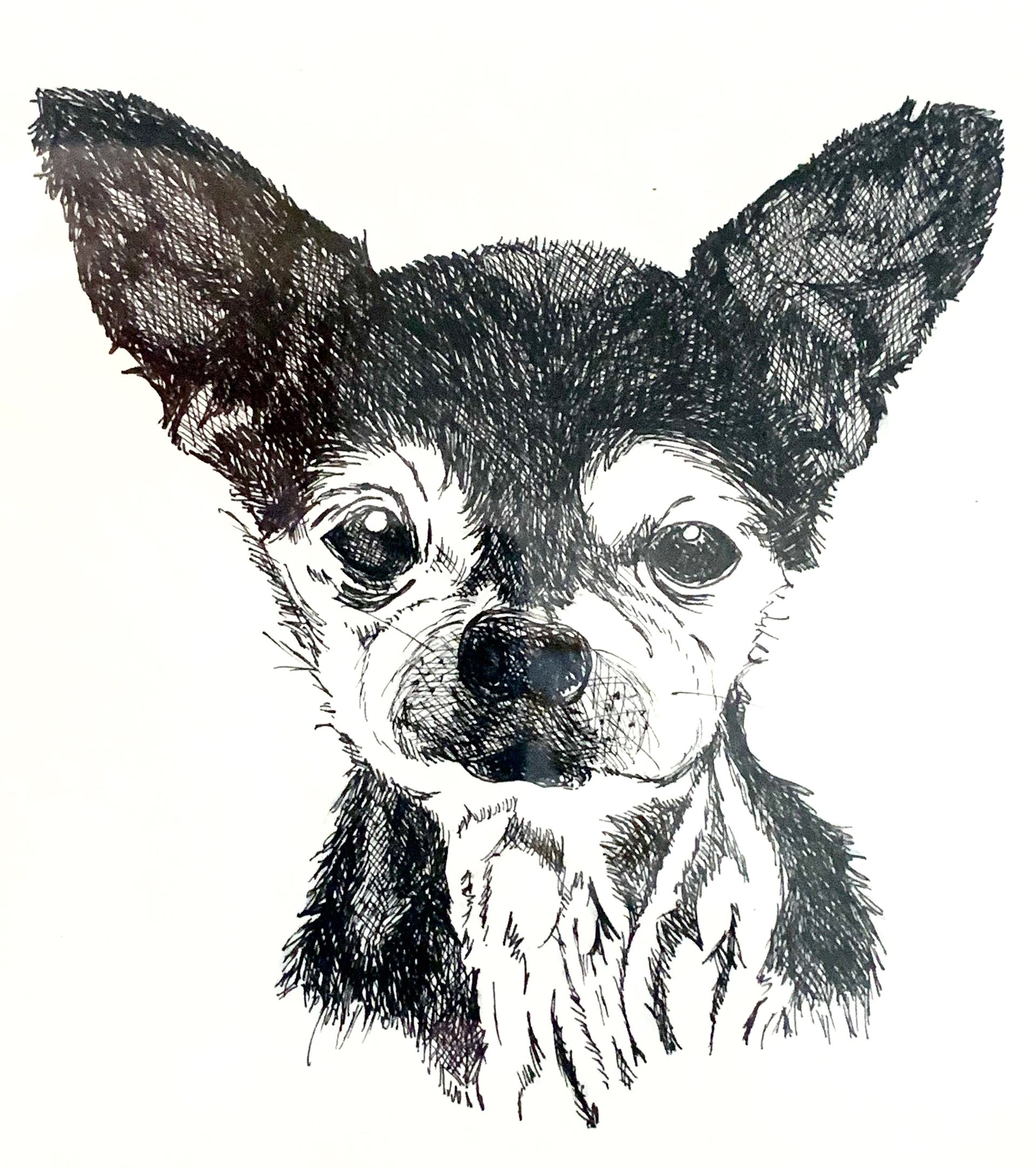 Tink - pen and ink drawing