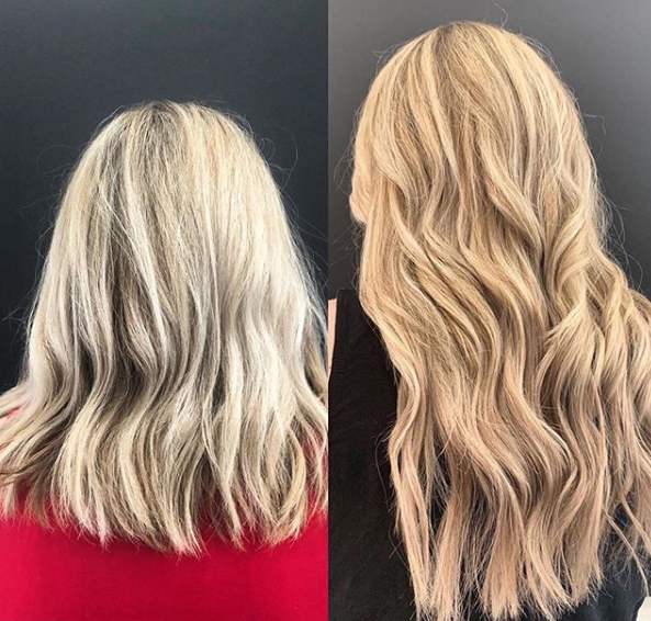 highlights and lowlights