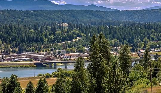 A bridge over a river in the middle of a forest with mountains in the background.