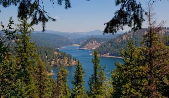 A view of a lake surrounded by trees and mountains.