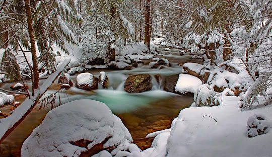 A river flowing through a snowy forest with trees covered in snow.