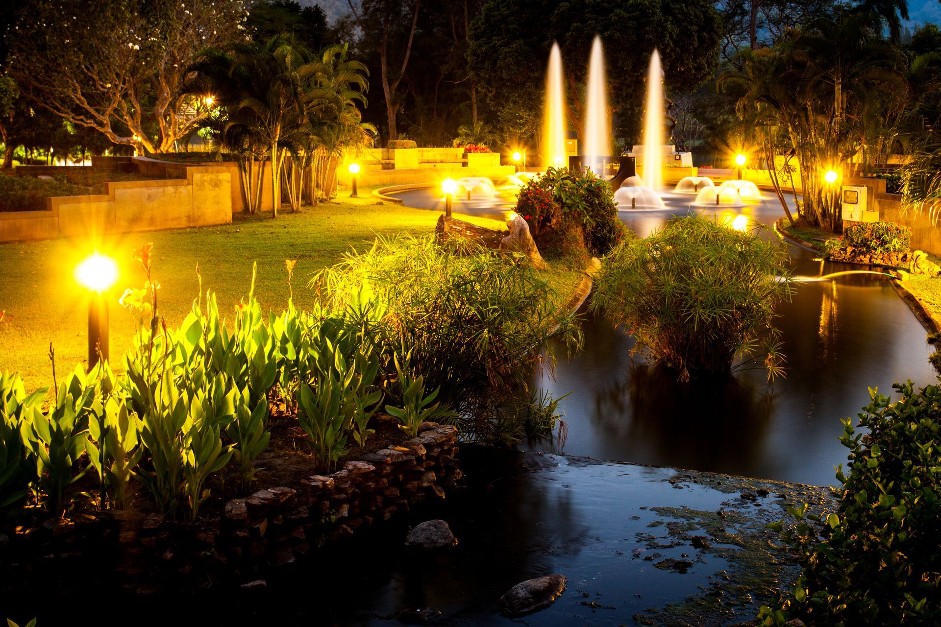 A fountain in a park is lit up at night