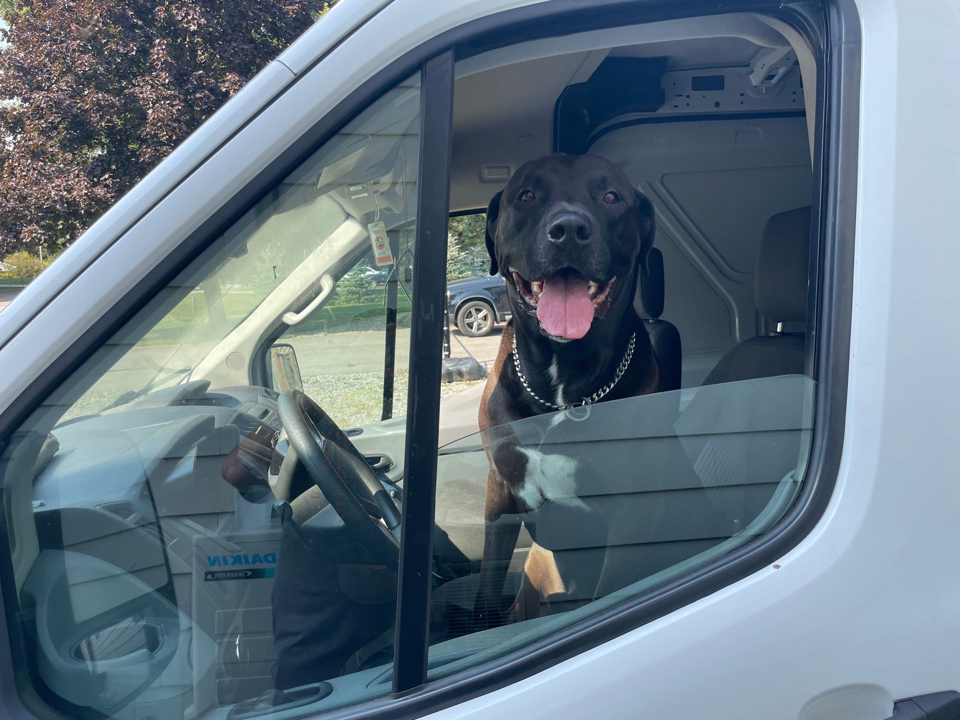 A black dog is sitting in the driver 's seat of a white van.