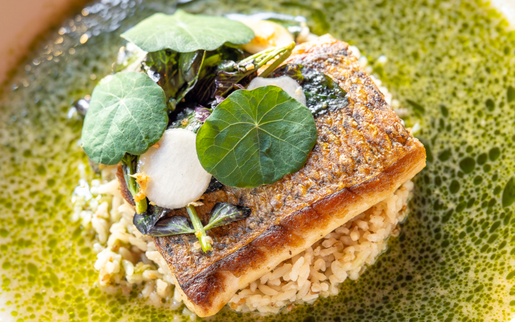 Fish over rice with green sauce