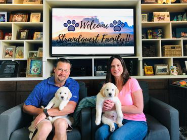 Welcome Greetings Strandquest - Livermore, CO - Marlos Golden Retrievers