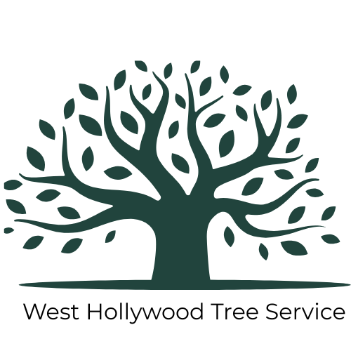 black tree with branches and leaves