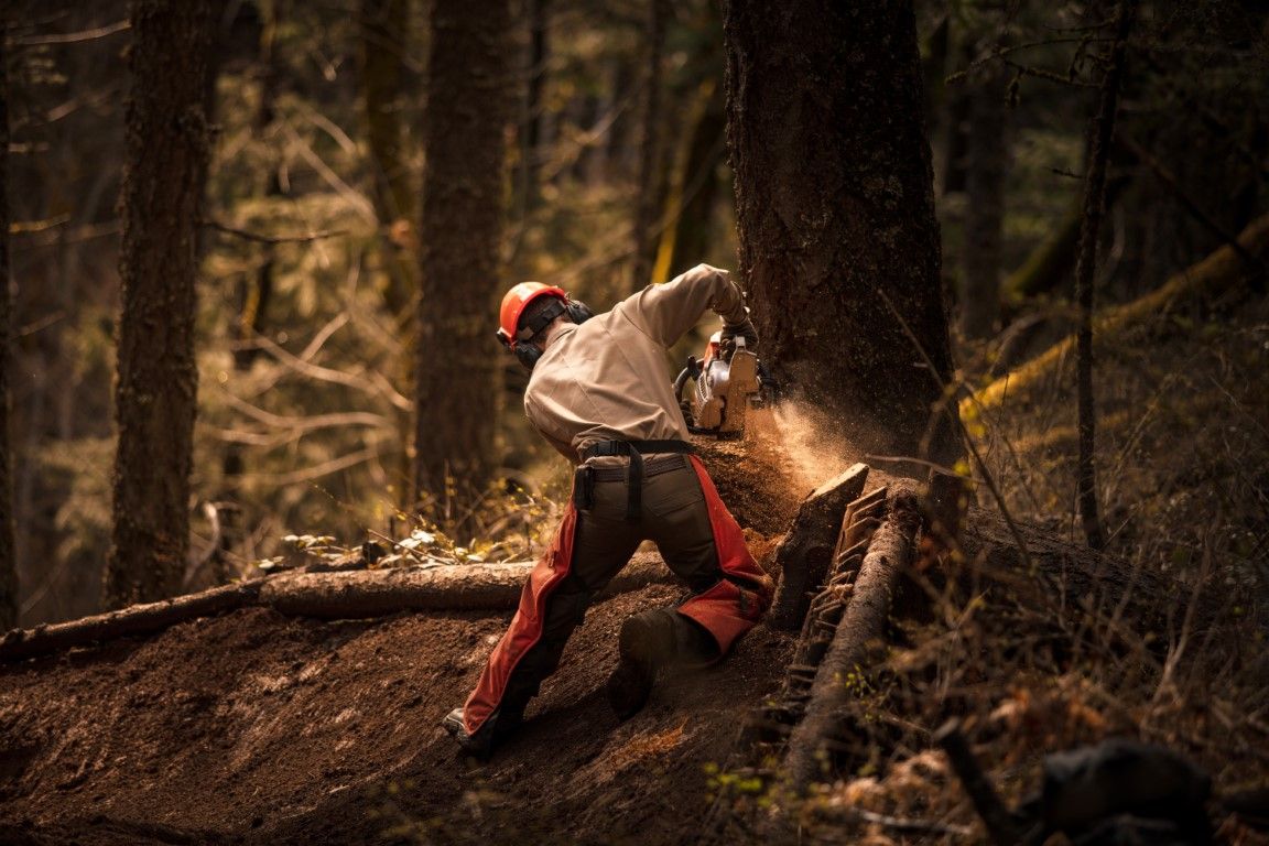 Man cutting bottom of large tree in forest