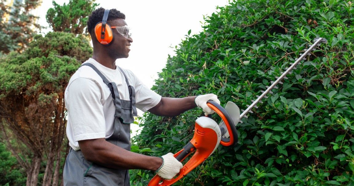 Man trimming bushes