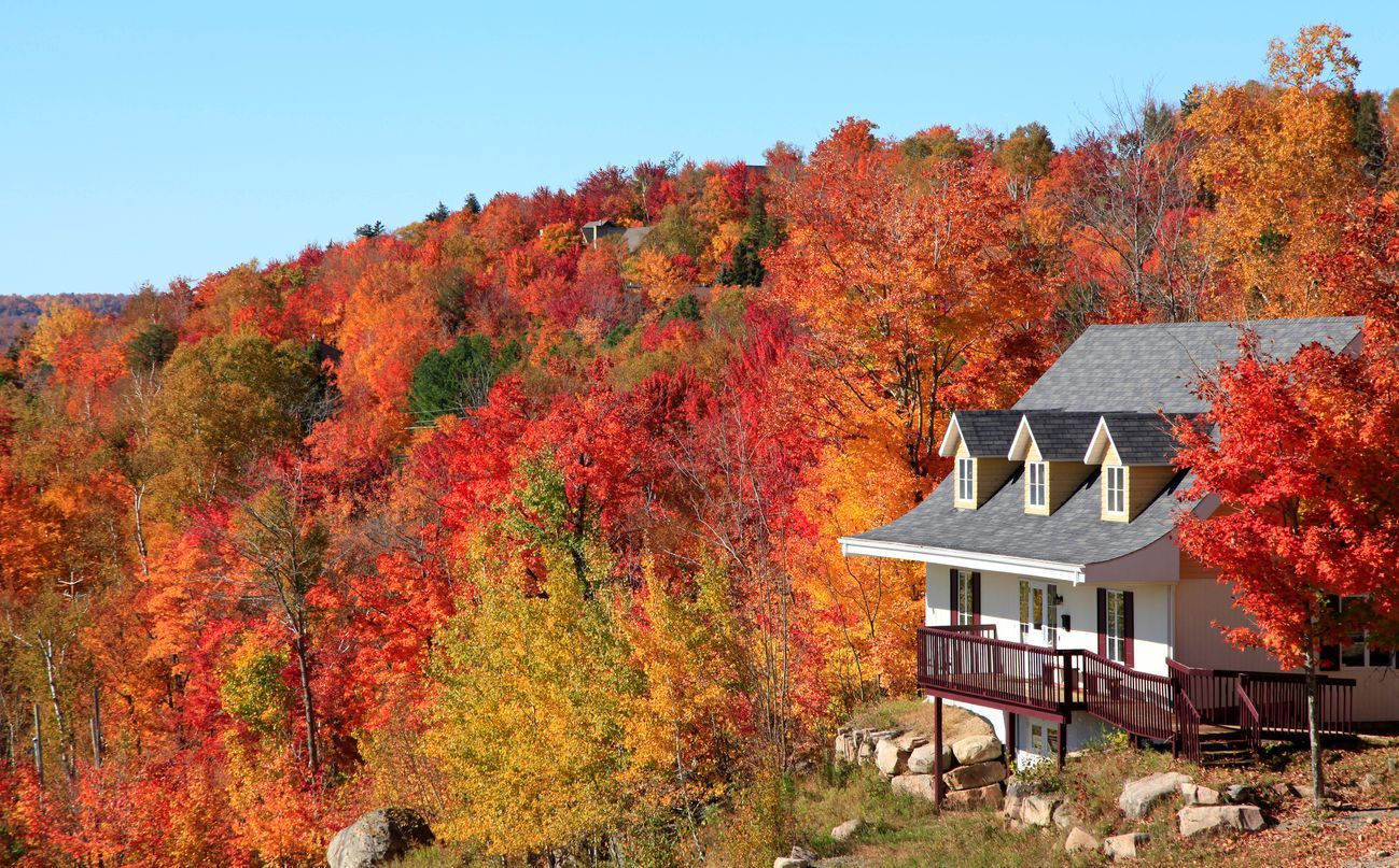 Beautiful fall day beautiful home and roof