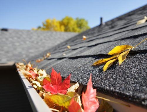 Fall roof in need of repair