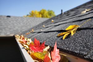 clogged gutters in Fort Wayne