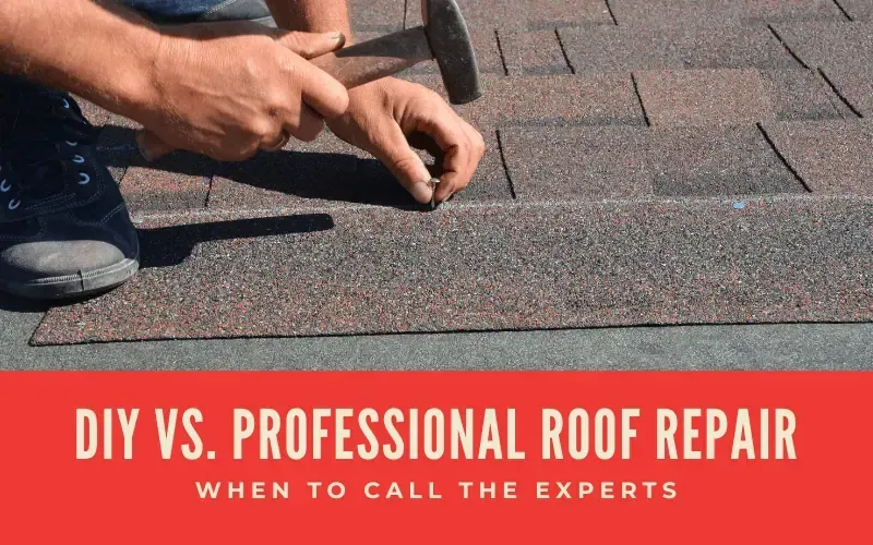 When to Call a Professional for Roof Repair