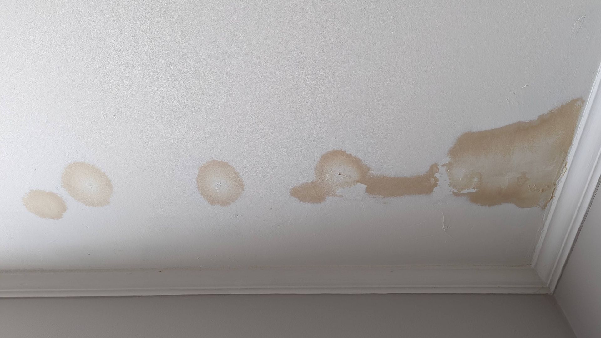 visible roof leaks