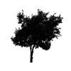 Tree Icon 03 — Saginaw, MI — Jack's Tree Service, Inc.