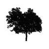 Tree Icon 05 — Saginaw, MI — Jack's Tree Service, Inc.