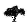 Tree Icon 02 — Saginaw, MI — Jack's Tree Service, Inc.