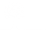White Tree Drawing — Saginaw, MI — Jack's Tree Service, Inc.