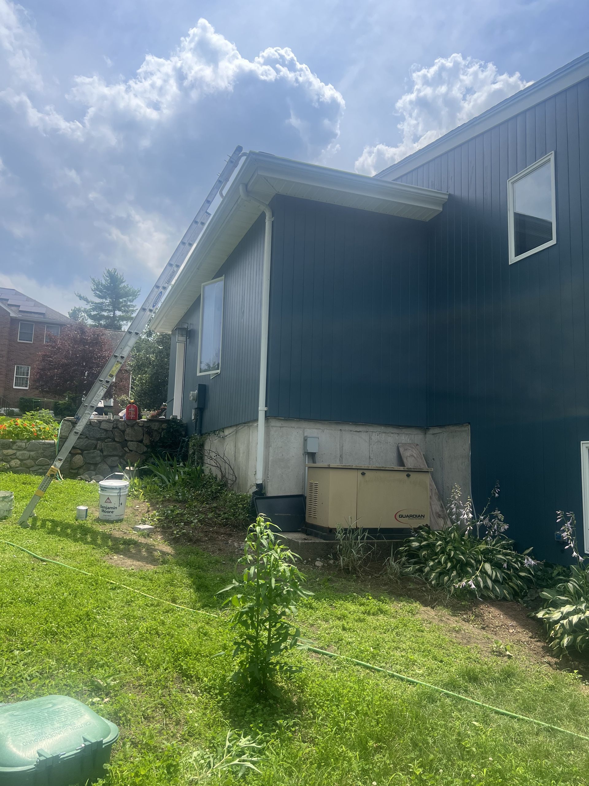 A house is being painted in a yard with a ladder in the background.