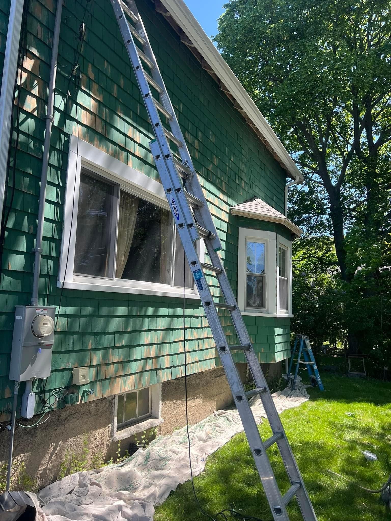 A ladder is sitting on the side of a green house.