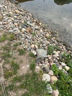 A rocky shoreline next to a body of water.
