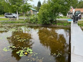 A pond with lily pads and trees in the background and a dock in the foreground.