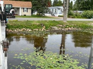 A pond with lily pads and a house in the background