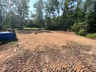A dirt road in the middle of a forest with trees in the background.