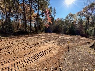 A dirt road in the middle of a forest with trees in the background.