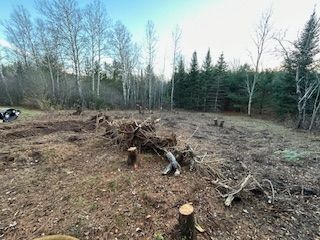 A pile of logs in a field with trees in the background.
