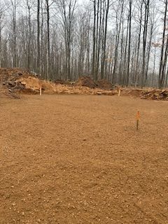 A dirt field in the middle of a forest with trees in the background.