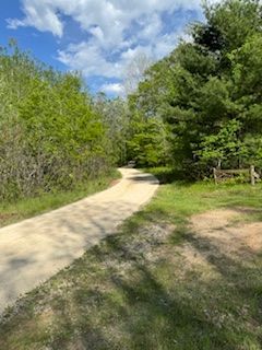 A dirt road going through a forest on a sunny day.